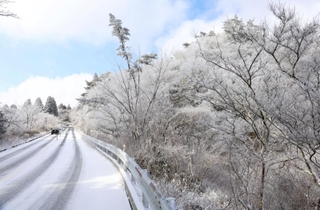 前日からの冷え込みの影響で雪化粧した六甲山上＝２１日午前、神戸市灘区六甲山町