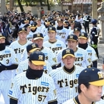 必勝祈願で西宮神社に参拝した阪神タイガースの選手ら＝７日午前、西宮市社家町（撮影・吉田敦史）