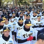 必勝祈願で西宮神社に参拝した阪神タイガースの選手ら＝７日午前、西宮市社家町（撮影・吉田敦史）