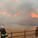 「山焼き」の炎に包まれた砥峰高原＝１７日午前、兵庫県神河町川上（撮影・辰巳直之）