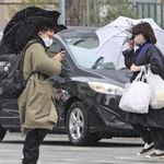 激しい風に雨が加わる中、傘を差して歩く人たち＝２０日午後、神戸市中央区東川崎町１（撮影・小林良多）