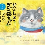 絵本「かなしきデブ猫ちゃん　マルの真夏のプレゼント」の表紙
