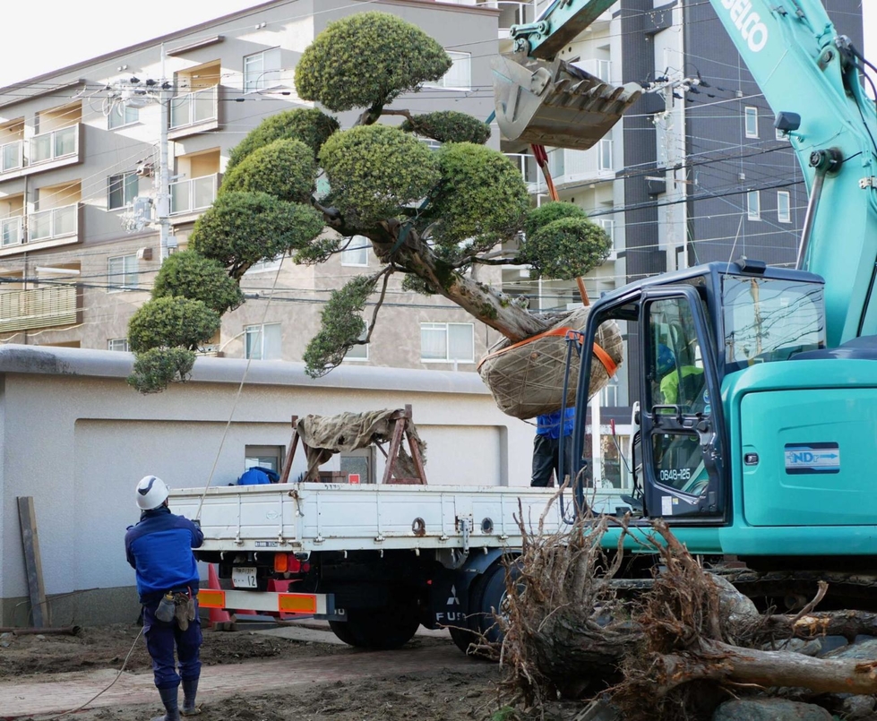 謝礼あり　伐採した庭木の回収お願いいたします。 Disposal of pruning waste (separation required) Disposal of