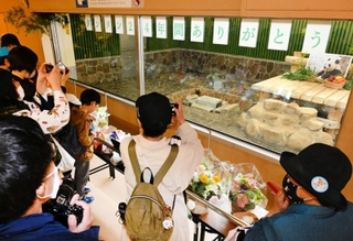 タンタンが過ごしたパンダ舎に詰めかけた人たち＝２日午前、神戸市灘区王子町３（撮影・大田将之）