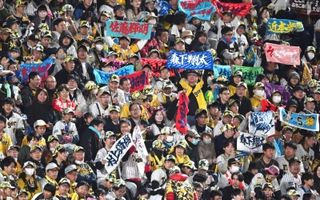 甲子園でのシーズン初戦、連覇を期してスタンドから声援を送る観客＝９日夜、西宮市の甲子園球場（撮影・大田将之）