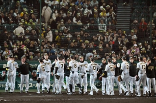 甲子園開幕戦で１ー０で広島を破り、歓喜する阪神の選手や観客＝９日夜、西宮市の甲子園球場（撮影・大田将之）