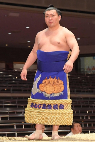 淡路島とタマネギをあしらった化粧まわしで土俵に上がる照強＝２０２１年５月、東京・両国国技館