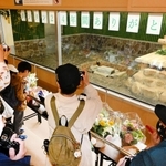タンタンが過ごしたパンダ舎に詰めかけた人たち＝２日午前、神戸市灘区王子町３（撮影・大田将之）