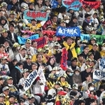 甲子園でのシーズン初戦、連覇を期してスタンドから声援を送る観客＝９日夜、西宮市の甲子園球場（撮影・大田将之）