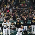 ５回裏、近本光司外野手（中央下）が先制適時打を放ち、喜ぶ阪神の選手や観客ら＝９日夜、西宮市の甲子園球場（撮影・大田将之）