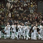 甲子園開幕戦で１ー０で広島を破り、歓喜する阪神の選手や観客＝９日夜、西宮市の甲子園球場（撮影・大田将之）