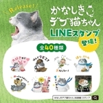 ねこまる様 通気性抜群な箱とねこ。Excellent Breathable Box and Cats