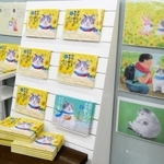 主要書店で販売が始まったかなしきデブ猫ちゃんの「マルの真夏のプレゼント」＝神戸市中央区三宮町１、ジュンク堂書店三宮店