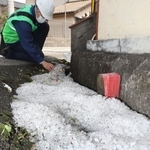 前日夜に降ったひょうを調べる気象庁機動調査班のメンバー＝１７日午後０時２分、姫路市広畑区長町２（撮影・辰巳直之）