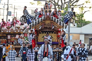 会場に集まる各地区のだんじり＝３日午後、神戸市東灘区御影中町３（撮影・風斗雅博）