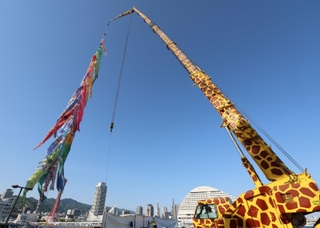 キリンを模したクレーンに引き上げられたこいのぼり＝４日午後、神戸市中央区東川崎町１（撮影・長嶺麻子）