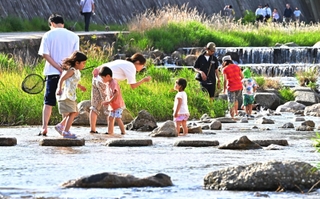 水辺で生き物探しなどをして遊ぶ子どもら＝５日午後、神戸市東灘区の住吉川（撮影・斎藤雅志）