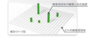 概念イメージ図（香味醗酵提供）
