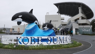 シャチのオブジェとドルフィンスタディアム＝２８日午前、神戸市須磨区若宮町１、神戸須磨シーワールド（撮影・笠原次郎）
