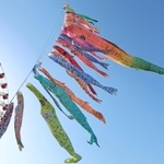 青空の下、悠々と泳ぐこいのぼり＝４日午後、神戸市中央区東川崎町１（撮影・長嶺麻子）