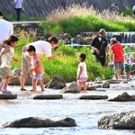 水辺で生き物探しなどをして遊ぶ子どもら＝５日午後、神戸市東灘区の住吉川（撮影・斎藤雅志）