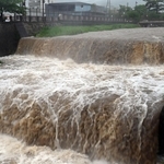 大雨で濁流となった芦屋川＝２８日午後、芦屋市業平町（撮影・風斗雅博）