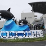 シャチのオブジェとドルフィンスタディアム＝２８日午前、神戸市須磨区若宮町１、神戸須磨シーワールド（撮影・笠原次郎）