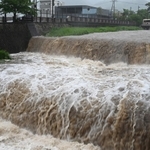 大雨で濁流となった芦屋川＝２８日午後、芦屋市業平町（撮影・風斗雅博）