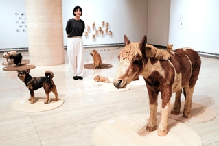 いきものたちの息吹が感じられる作品が並ぶ「はしもとみお展」の会場。じかに触れ、質感も楽しめる＝神戸市東灘区向洋町中２、神戸ゆかりの美術館
