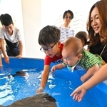 生き物と触れ合えるコーナーで、エイに手を伸ばす子ども＝１日午後