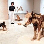 いきものたちの息吹が感じられる作品が並ぶ「はしもとみお展」の会場。じかに触れ、質感も楽しめる＝神戸市東灘区向洋町中２、神戸ゆかりの美術館