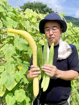 幻のキュウリ「宍粟三尺」産地へ 16、20日 「環旅」で兵庫の風土堪能 昼食はアユ、ヒマワリ畑も |社会|神戸新聞NEXT