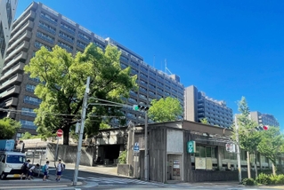 再整備の計画がある兵庫県の庁舎群。県庁舎の再整備も文書問題のあおりを受ける＝神戸市中央区下山手通５