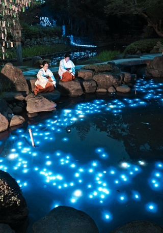 池に浮かび上がる天の川に見立てた光の帯＝６日夜、西宮市社家町、西宮神社