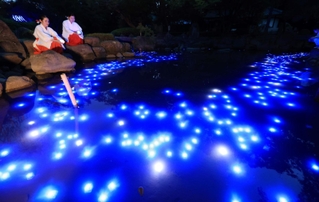 天の川に見立てた光の帯＝６日夜、西宮市社家町、西宮神社