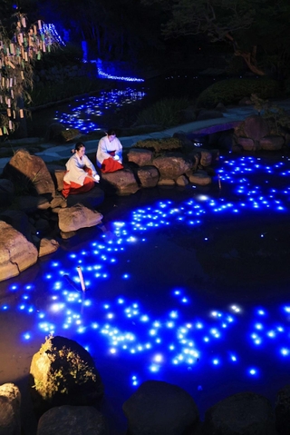 天の川に見立てた光の帯＝６日夜、西宮市社家町、西宮神社