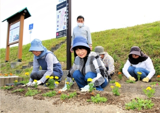 銀の馬車道沿いにある花壇で花を植え替える太尾老人クラブの役員ら＝姫路市豊富町豊富