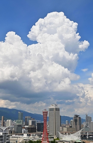 神戸の市街地上空に現れた入道雲＝２４日午後、神戸市中央区東川崎町１から神戸・三宮方面を望む（撮影・斎藤雅志）