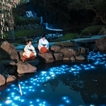 池に浮かび上がる天の川に見立てた光の帯＝６日夜、西宮市社家町、西宮神社