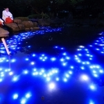 天の川に見立てた光の帯＝６日夜、西宮市社家町、西宮神社