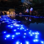 天の川に見立てた光の帯＝６日夜、西宮市社家町、西宮神社