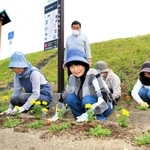 銀の馬車道沿いにある花壇で花を植え替える太尾老人クラブの役員ら＝姫路市豊富町豊富