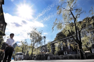 強い日差しが照りつける中、温泉街には水をまく姿も見られた＝２３日午後、豊岡市城崎町湯島（撮影・丸山桃奈）