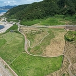 能登半島地震の影響を受けながら、１００４枚中、１２０枚で早生の稲穂が実る白米千枚田。海岸線は隆起している＝７日午後、石川県輪島市白米町（ドローンで撮影）