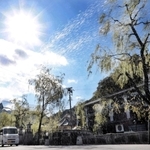 強い日差しが照りつける中、温泉街には水をまく姿も見られた＝２３日午後、豊岡市城崎町湯島（撮影・丸山桃奈）