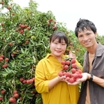 ベトナムの村でライチの収穫や加工販売に挑む山崎愛莉さん（左）。右は夫のファム・ヴァン・ニャンさん（山崎さん提供）