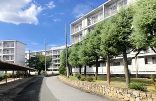 事業者の提案型公募が始まる尼崎市営富松住宅跡地。周辺には住宅地が広がり、学校も近い＝尼崎市富松町３