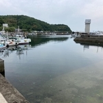 漁船が並ぶ沼島漁港＝南あわじ市沼島