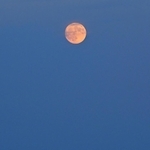 夜空に浮かぶ「中秋の名月」＝１７日、神戸市長田区の高取山から（撮影・斎藤雅志）