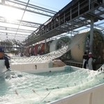 早朝から始まるノリ網の種付け作業。遅れている海水温の低下を待つばかり＝明石市二見町南二見、兵庫のり研究所